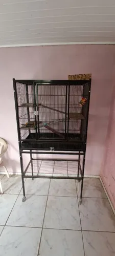 Vendo gaiola