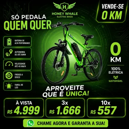 Em 10 vezes - Bicicleta elétrica Honeywhale S8 - 0KM