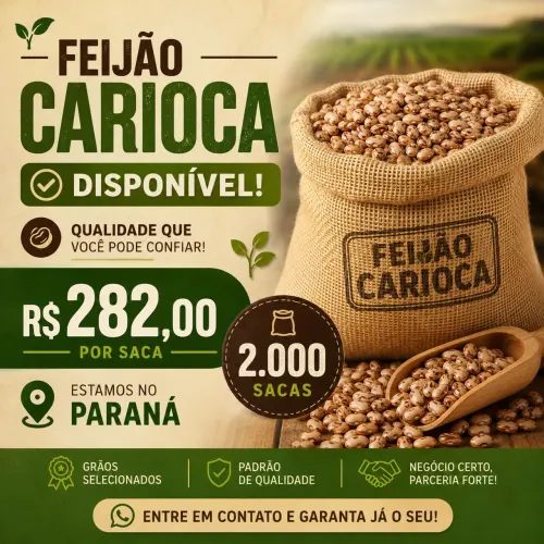 Feijão carioca disponível 