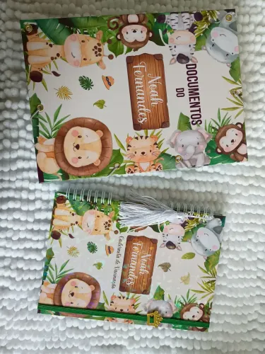 Pasta porta documentos