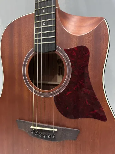 Violão Eletroacústico Strinberg Forest FS4D FOS (Aço) - Novo + Capa e Acessórios