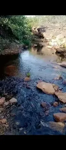 Fazendinha com Altitude Para Plantio de caifé....aceita Imóvel e Caminhonete!!