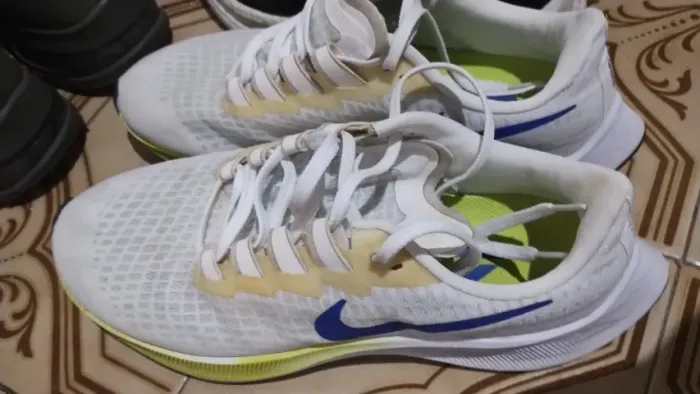 Tênis Nike Zoom Pegasus 37