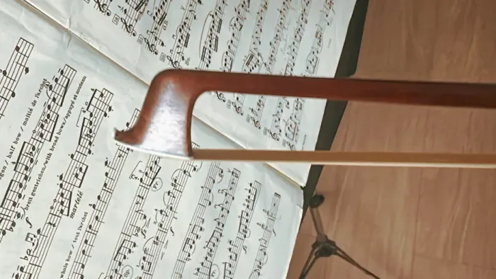 arco de violino Profissional Archetier Renato Cassara 