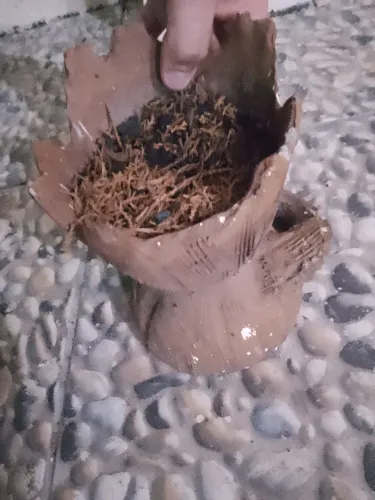 Vaso de Planta em Cerâmica