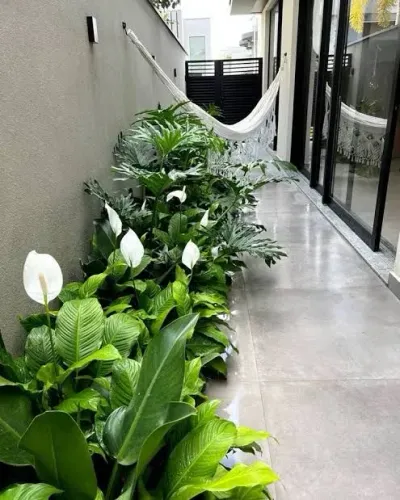 Jardinagem/paisagismo/jardineiro