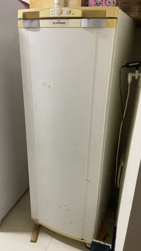 Freezer vertical