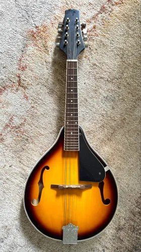 Bandolim acústico, regulado por luthier
