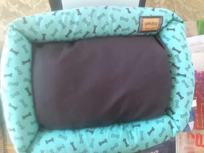 cama de pet