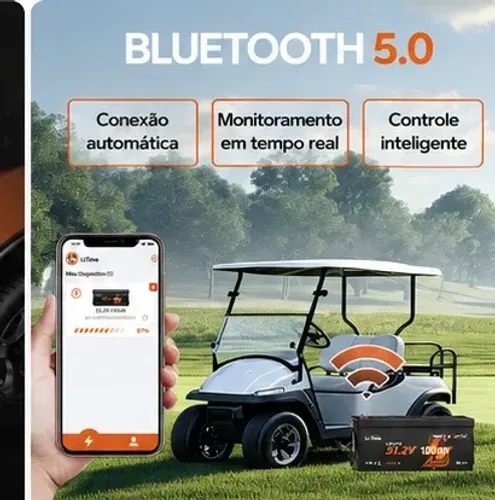 Bateria de Lithium Lifepo4 carrinho de golfe elétrico 48 volts