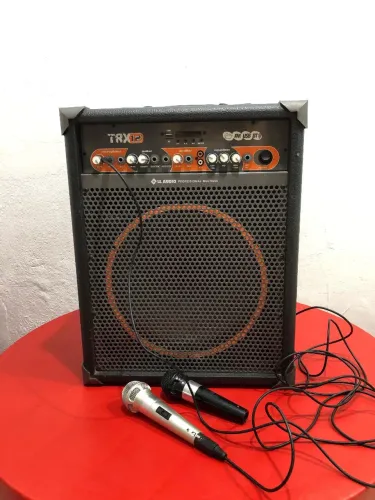 Vendo Excelente caixa amplificada!