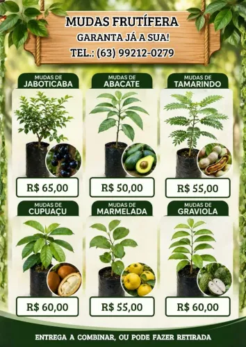 Plantas