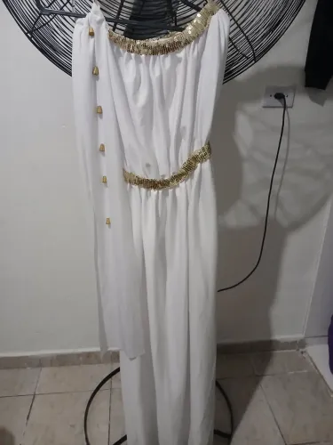Lote de fantasias($100 todas juntas)