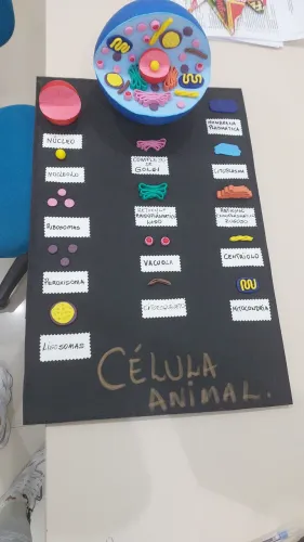 Maquete celula animal