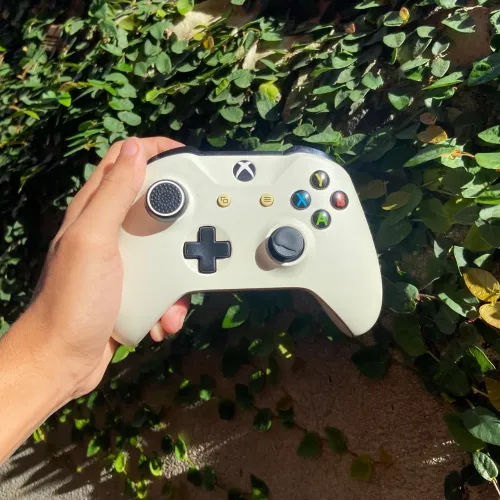 Controle Xbox Original