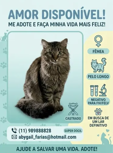 Adoção responsável