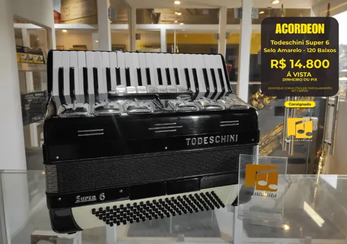 Acordeon Todeschini 120 baixos Super 6 - Selo Amarelo