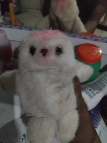 Vendo essa foca produto canta e repete oq vc fala