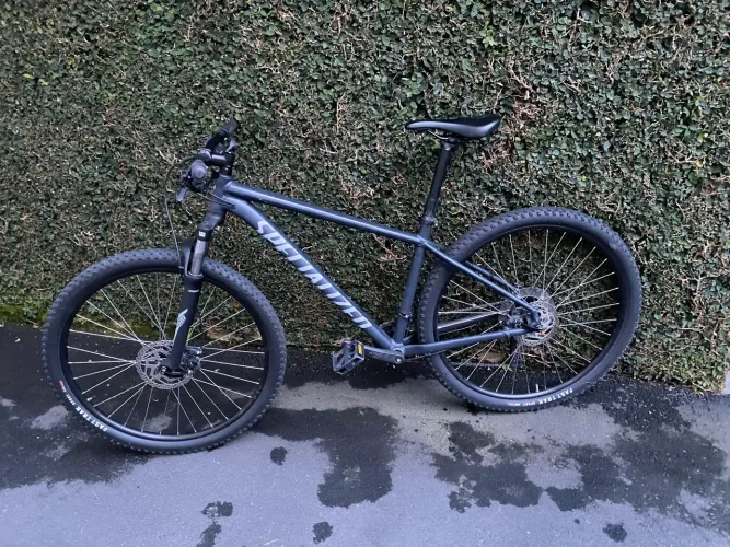 Specialized Rockhopper Sport 29 L/19