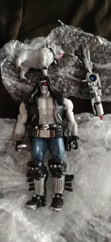 Lobo DC Universe Classics action figure