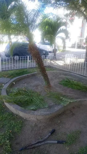 Aluguel de apartamento residencial tabuleiro