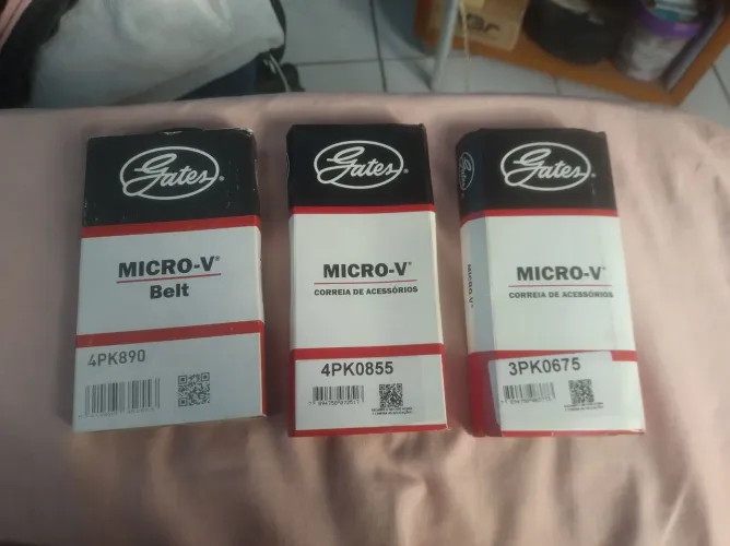 Correia Poly v