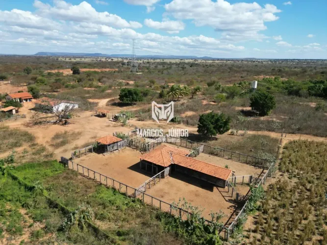 VENDO FAZENDA DE PECUARIA NA REGIÃO DE CAPITÃO ENÉIAS E JANAÚBA NO NORTE DE MINAS 550 HA