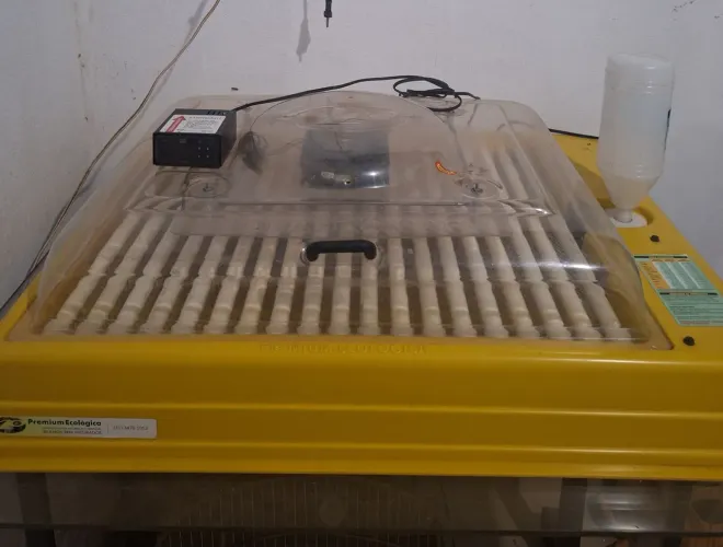 Vende se chocadeira premium ecológica ip130 