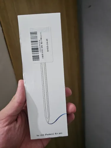 palm rejection caneta ipad apple