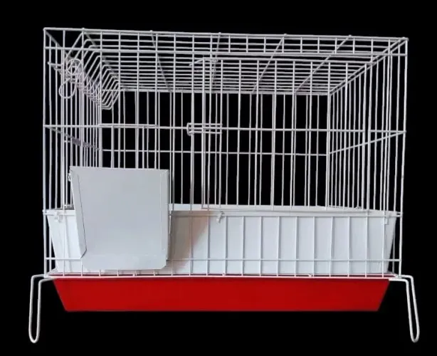 Fenno, ração, acessórios pra roedores.