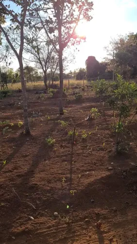 LOTE A VENDA