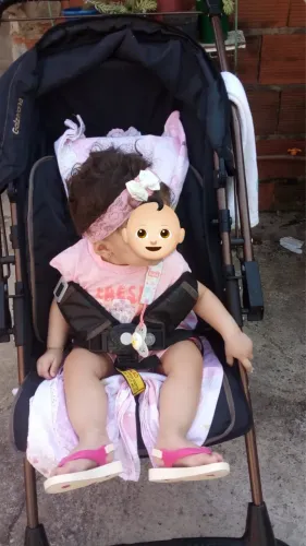 Carrinho Galzerano