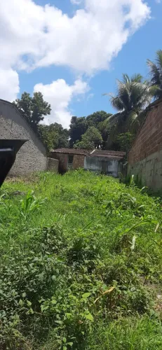 Terreno 7x25m2 Barreiros por trás do antigo hospital Santa Francisca local plano