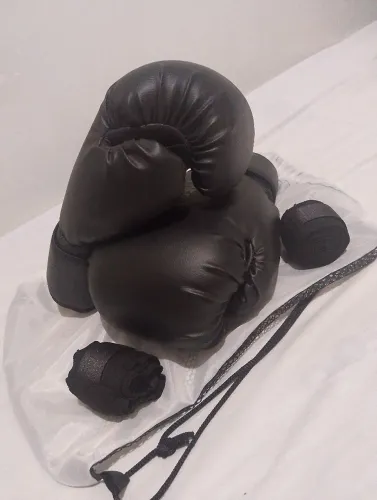 Vendo luvas de Box Nunca usadas