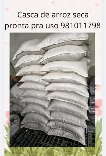 Casca de arroz 