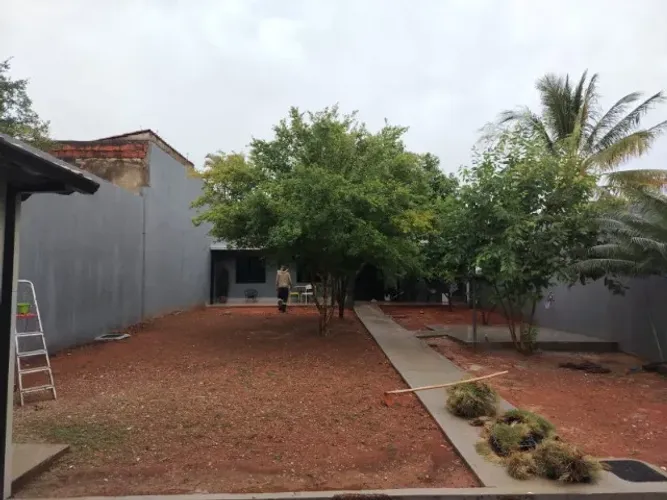 Grama Batatais Direto do Campo Sem Atravessador 