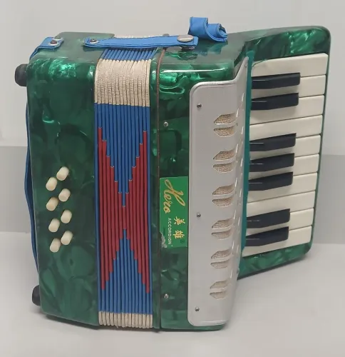 Acordeon/Sanfona Infantil 
