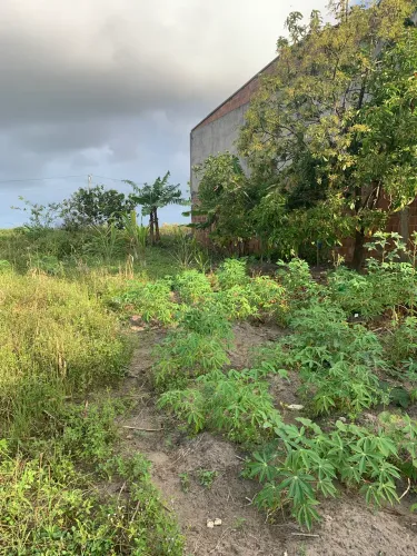 Terreno a venda ou troca totalmente plano.. contato 81- *