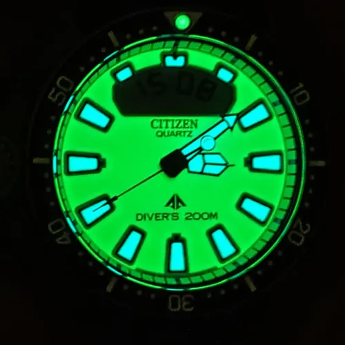Citizen Aqualand jp2007 natulite