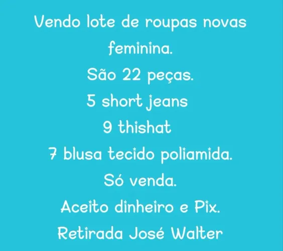 Lote de roupas femininas novas