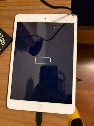 iPad mini 3 