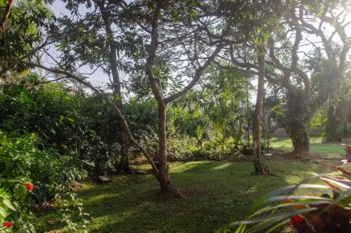 terreno a venda 640m na Cachoeira do Bom Jesus, todos os serviços em condominio