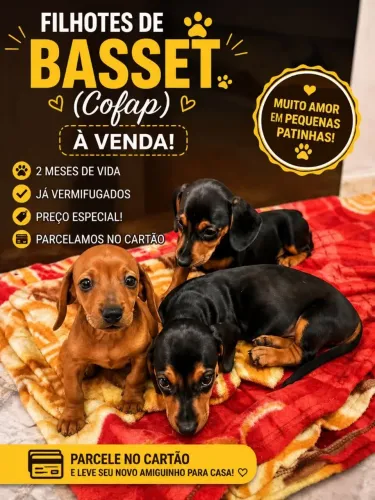 Basset (Cofap)