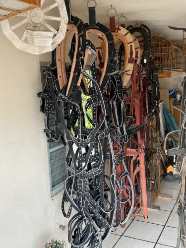Curiama para 2 cavalos 