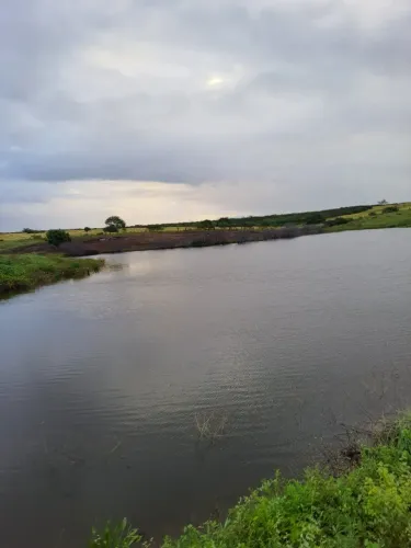 Fazenda/Sítio/Chácara para venda possui 550 hectares