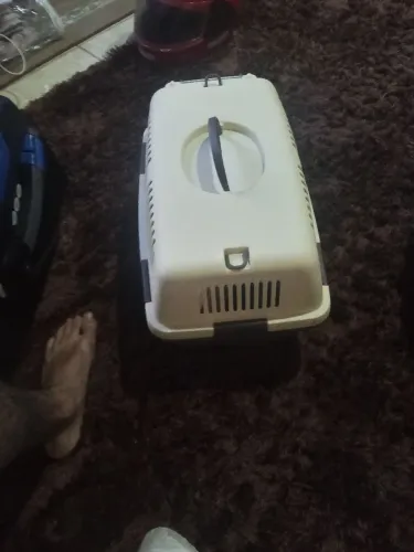 Gaiola pra gato