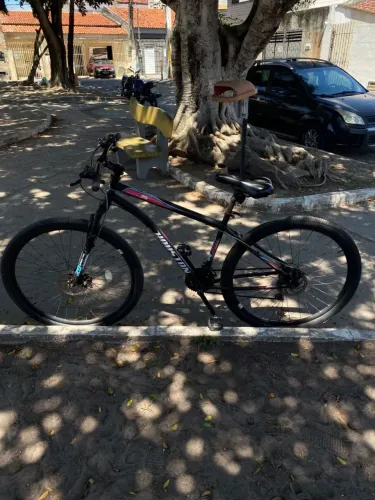 Bicicleta, Aro 29
