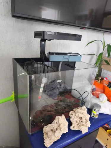 Vendo aquario