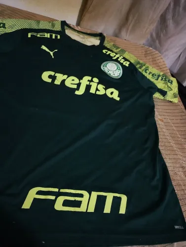 Camisa de treino, ano 2020, usada, tamanho GG, oficial do Palmeiras.