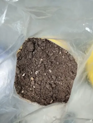Compostagem orgânica